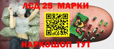 эйфоретик Аргун