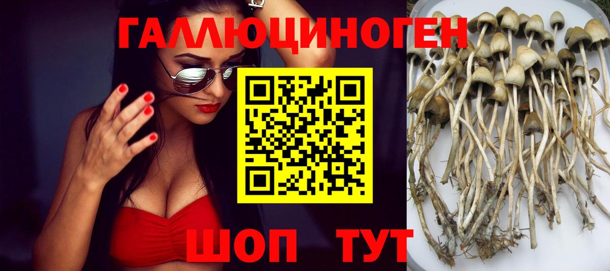Ачхой-Мартан  Галлюциногенные грибы мухоморы  Галлюциногенные грибы ЛСД  купить   Вход с VPN 