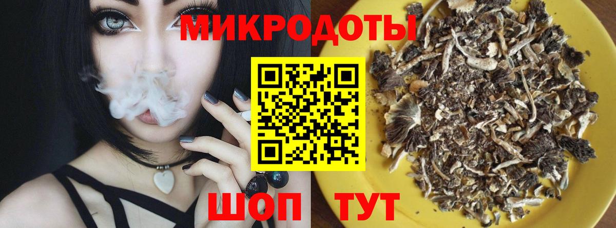 Псилоцибиновые грибы мухоморы Ачхой-Мартан